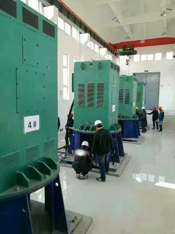 文县某污水处理厂使用我厂的立式高压电机安装现场